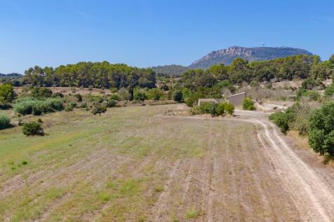 Aerial (13)