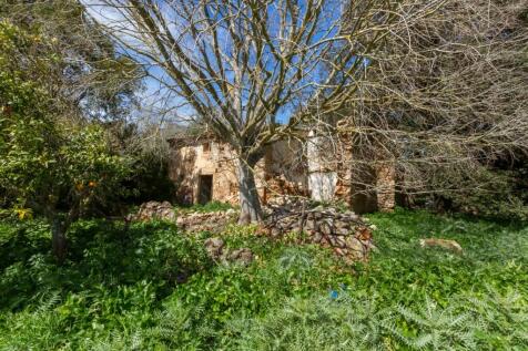 Finca (5)