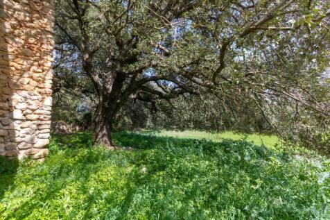 Finca (3)