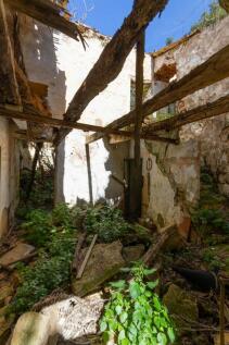 Finca (2)