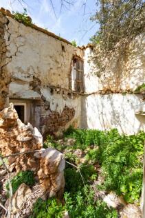 Finca (4)
