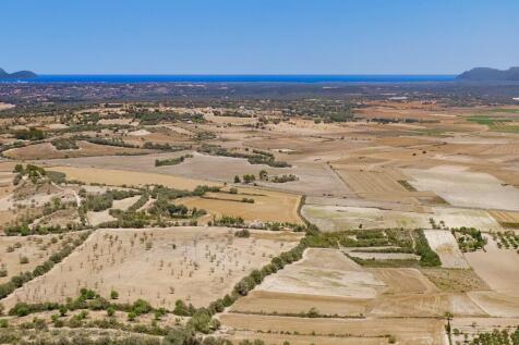 Aerial (3)