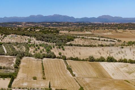 Aerial (1)