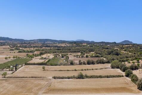 Aerial (9)