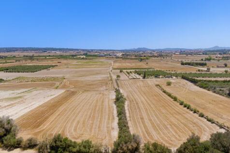 Aerial (7)