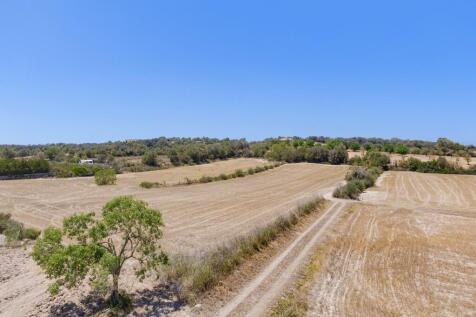 Aerial (8)