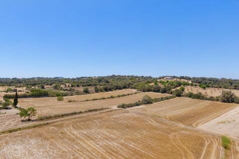 Aerial (12)
