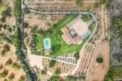 Aerial (9)