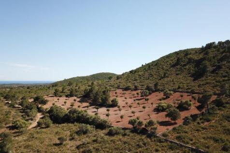 Land