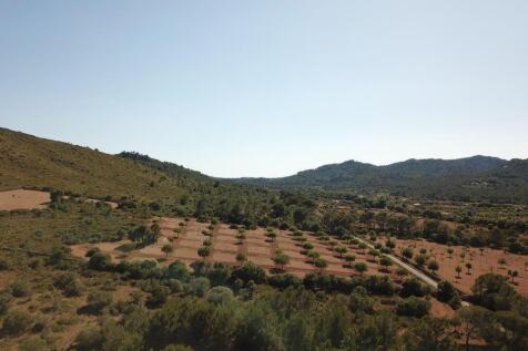 Land
