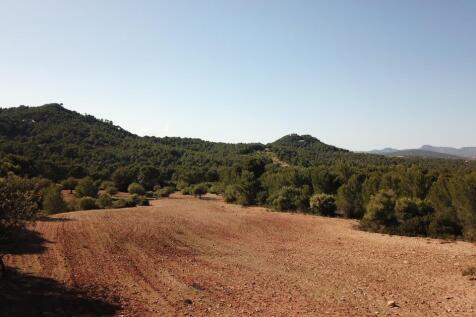 Land