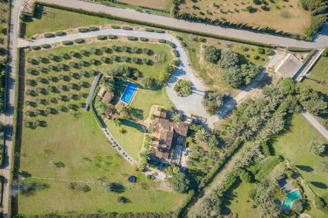 Aerial (1)