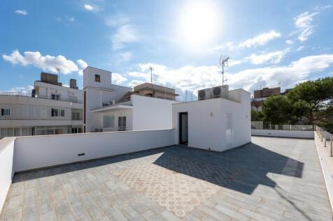 rooftop (3)