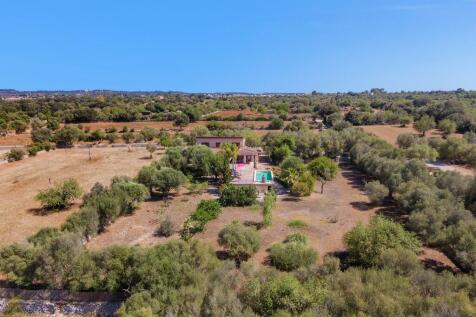 Aerial (5)
