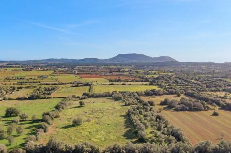 Aerial (2)