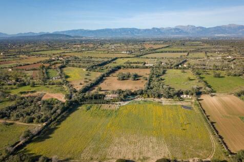 Aerial (4)