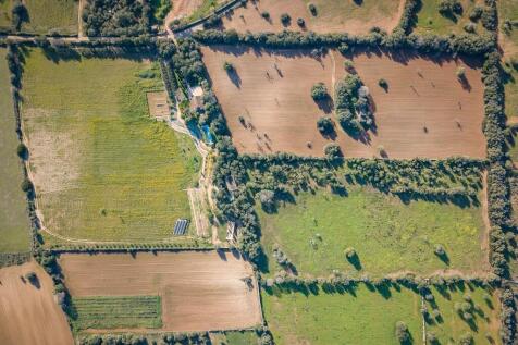 Aerial (6)