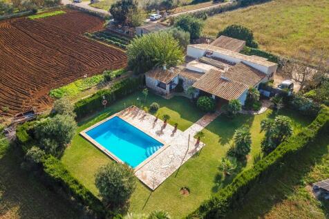 Aerial (1)