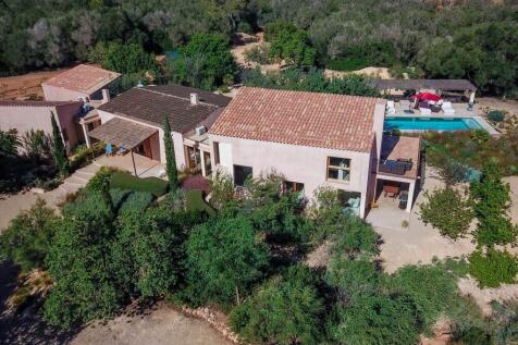 Aerial (5)