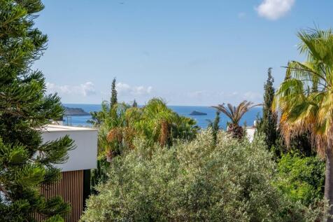 View (1)