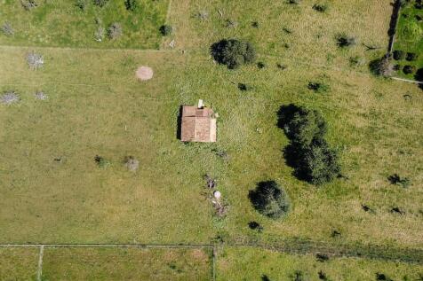 Aerial (1)