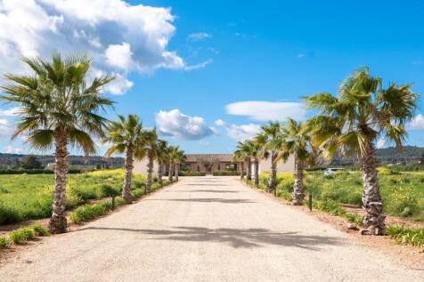 driveway (2)