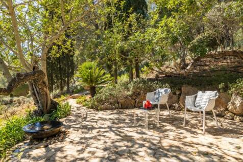Garden (7)