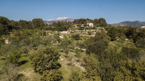 Aerial (5)
