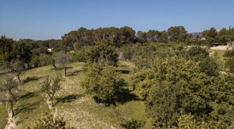 Aerial (7)