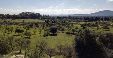 Aerial (8)