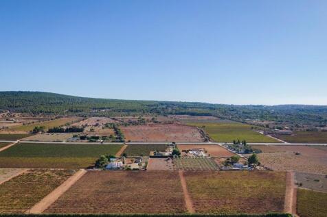 Aerial (3)