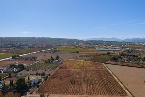 Aerial (1)