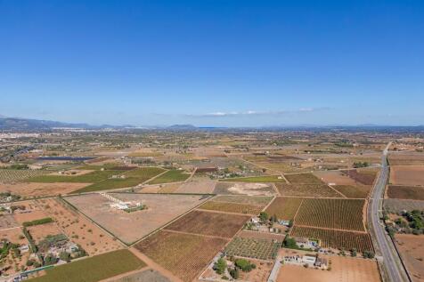 Aerial (7)