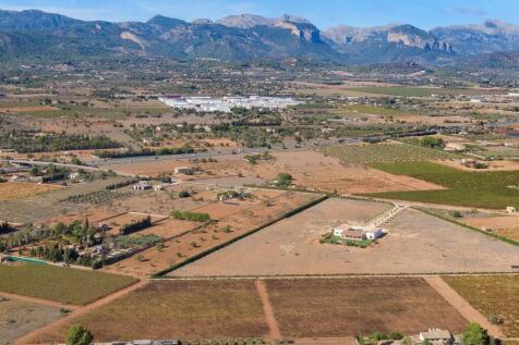 Aerial (10)