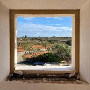 View (1)