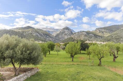 countryside