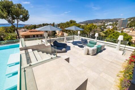 roof top (3)
