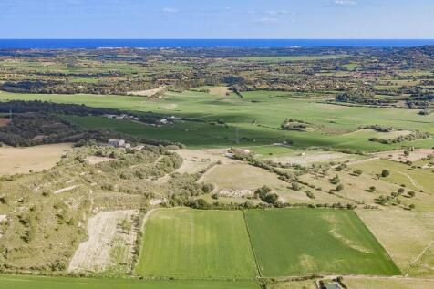 Aerial (12)