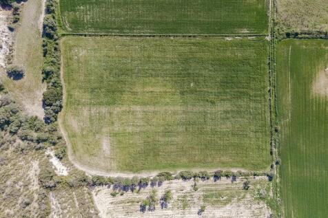 Aerial (6)