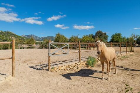 Paddock (2)
