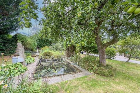 SIDE GARDEN