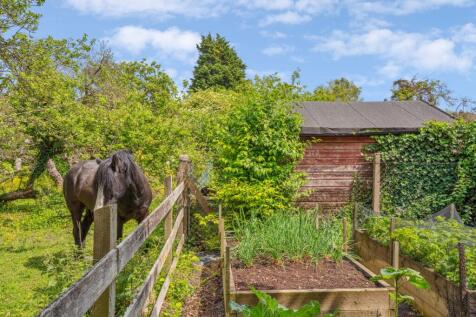 Property Image 39