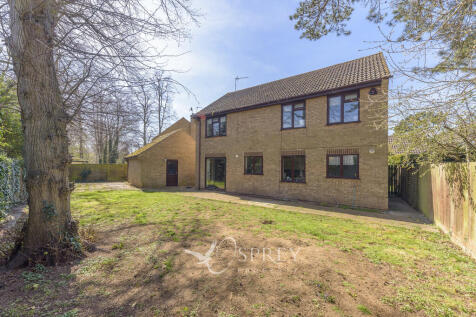 Rear Elevation