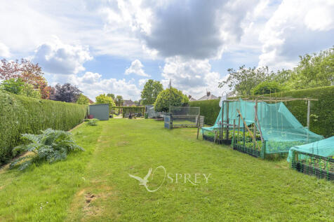 Vegetable Plot