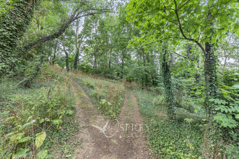 Woodland Area