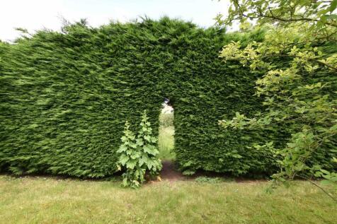 Archway.jpg