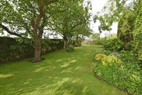 Garden ii.jpg