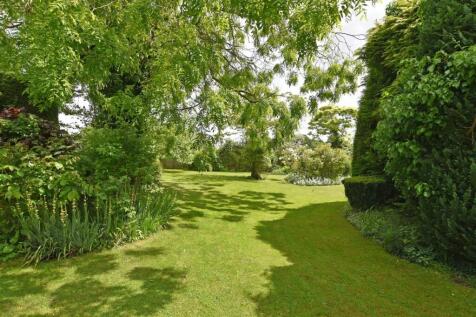 Garden iii.jpg
