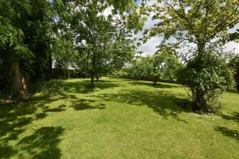 Garden i.jpg