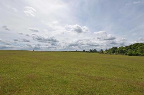 Field Views.jpg